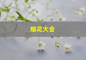 烟花大会