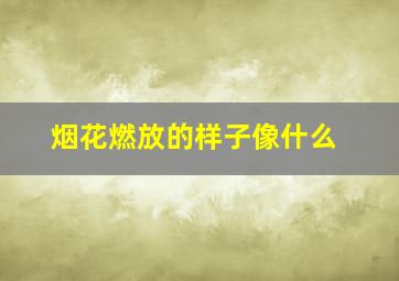 烟花燃放的样子像什么