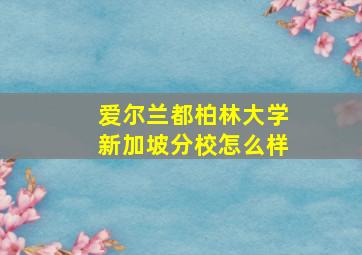 爱尔兰都柏林大学新加坡分校怎么样