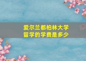 爱尔兰都柏林大学留学的学费是多少