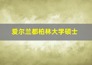 爱尔兰都柏林大学硕士