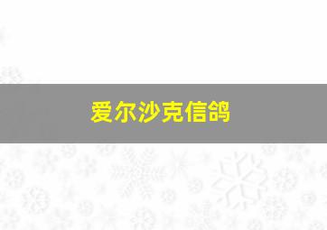 爱尔沙克信鸽