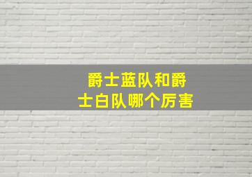 爵士蓝队和爵士白队哪个厉害