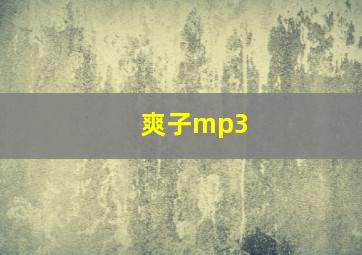 爽子mp3