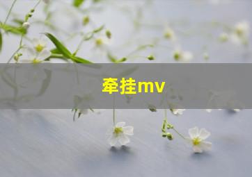 牵挂mv