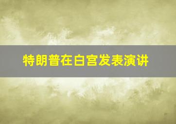 特朗普在白宫发表演讲