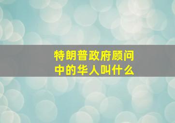 特朗普政府顾问中的华人叫什么