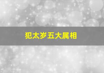 犯太岁五大属相