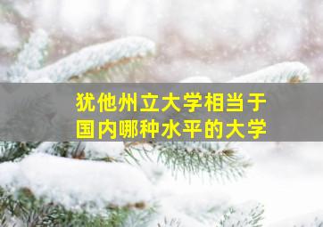 犹他州立大学相当于国内哪种水平的大学