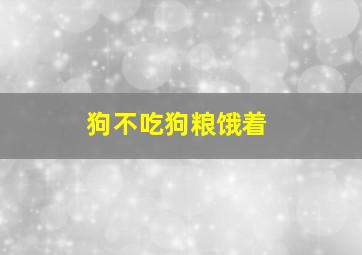 狗不吃狗粮饿着