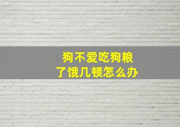 狗不爱吃狗粮了饿几顿怎么办