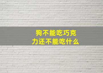 狗不能吃巧克力还不能吃什么