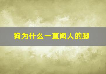 狗为什么一直闻人的脚