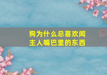 狗为什么总喜欢闻主人嘴巴里的东西