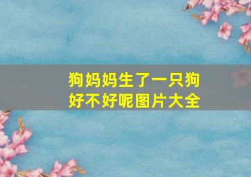 狗妈妈生了一只狗好不好呢图片大全