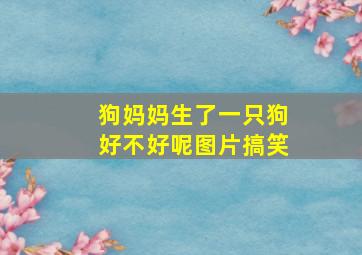 狗妈妈生了一只狗好不好呢图片搞笑