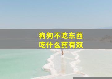 狗狗不吃东西吃什么药有效