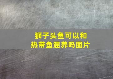 狮子头鱼可以和热带鱼混养吗图片