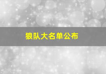 狼队大名单公布