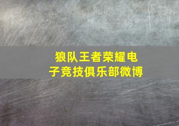 狼队王者荣耀电子竞技俱乐部微博