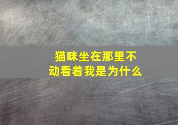 猫咪坐在那里不动看着我是为什么