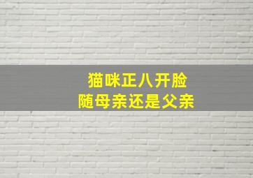 猫咪正八开脸随母亲还是父亲