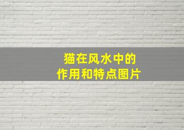 猫在风水中的作用和特点图片