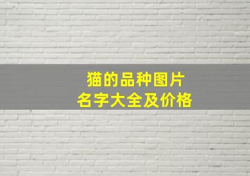 猫的品种图片名字大全及价格