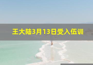 王大陆3月13日受入伍训