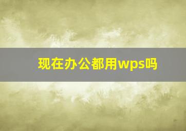 现在办公都用wps吗