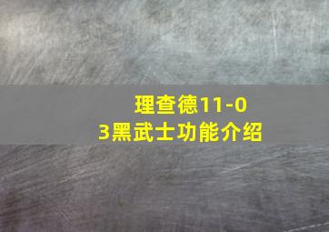 理查德11-03黑武士功能介绍