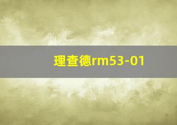 理查德rm53-01