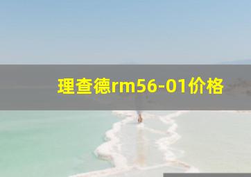 理查德rm56-01价格