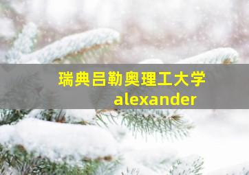 瑞典吕勒奥理工大学alexander