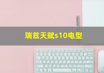 瑞兹天赋s10电型