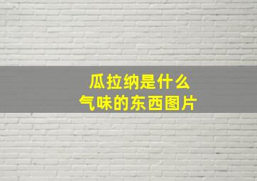 瓜拉纳是什么气味的东西图片