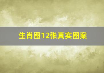 生肖图12张真实图案