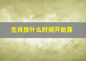 生肖按什么时间开始算