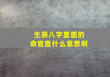 生辰八字里面的命官是什么意思啊