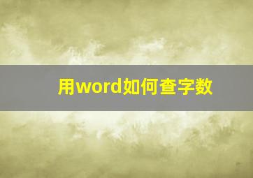 用word如何查字数