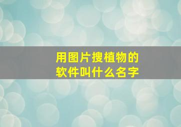 用图片搜植物的软件叫什么名字