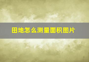 田地怎么测量面积图片