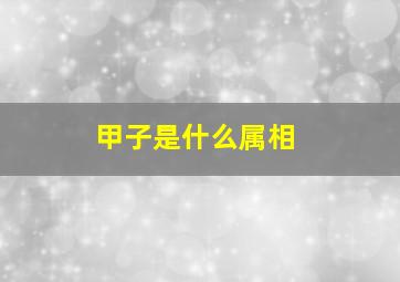 甲子是什么属相