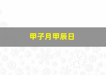 甲子月甲辰日