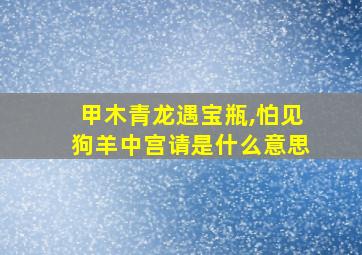 甲木青龙遇宝瓶,怕见狗羊中宫请是什么意思