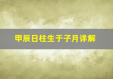 甲辰日柱生于子月详解