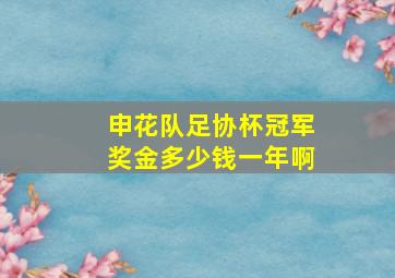 申花队足协杯冠军奖金多少钱一年啊