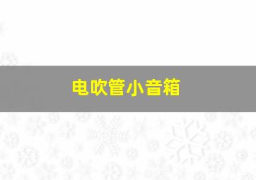 电吹管小音箱