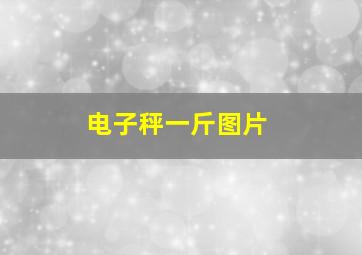 电子秤一斤图片