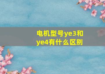 电机型号ye3和ye4有什么区别